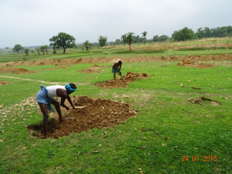 Agriculture field work